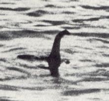 loch ness monster surgeon's photo